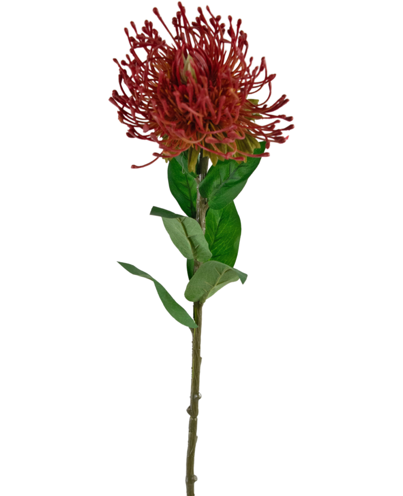 Greenmoods Kunstig blomst Protea 73 cm rød
