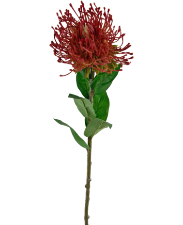 Greenmoods Kunstig blomst Protea 73 cm rød