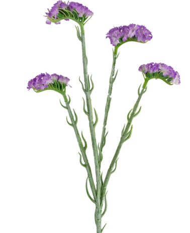 Greenmoods Kunstig Statice stilk Lavendel 64cm