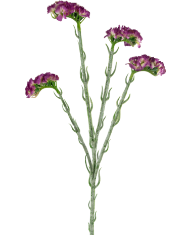 Greenmoods Kunstig Statice stilk Lilla 64cm