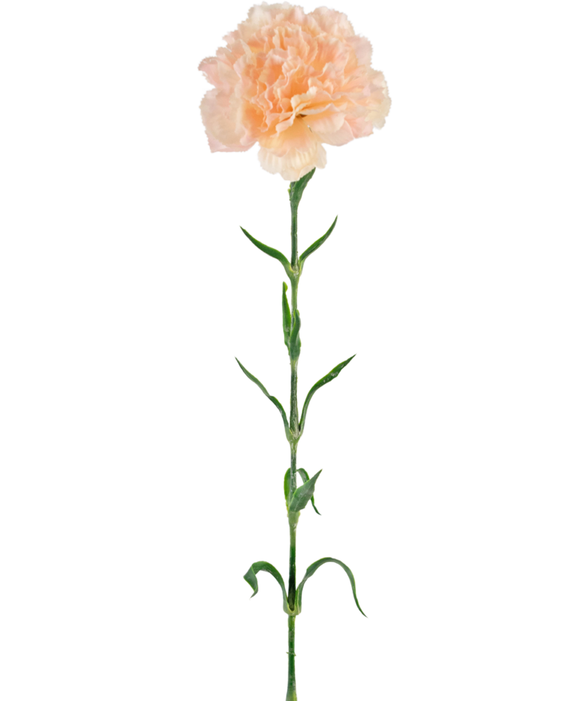 Greenmoods Kunstig Nellikblomst Lysrosa 69cm