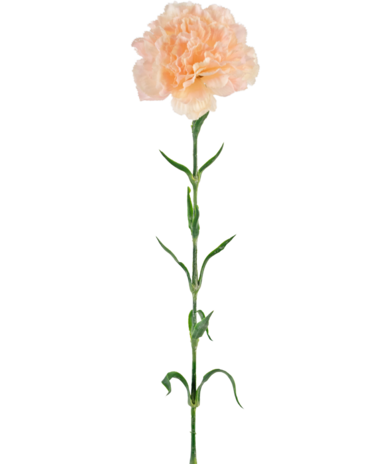 Greenmoods Kunstig Nellikblomst Lysrosa 69cm