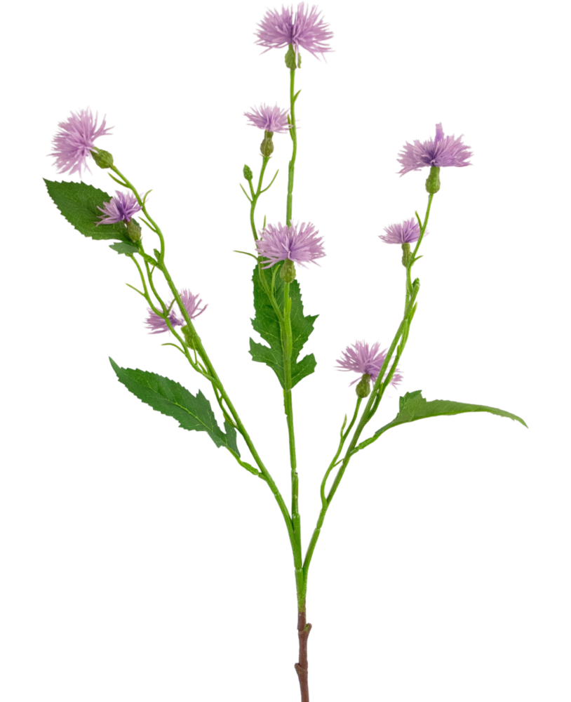 Greenmoods Kunstig Daisy Syrin 54cm