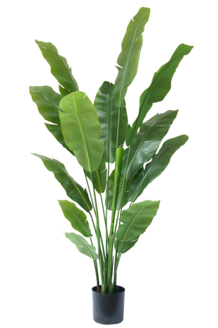 Greenmoods Kunstig Strelitzia Nicolai Deluxe 195 cm