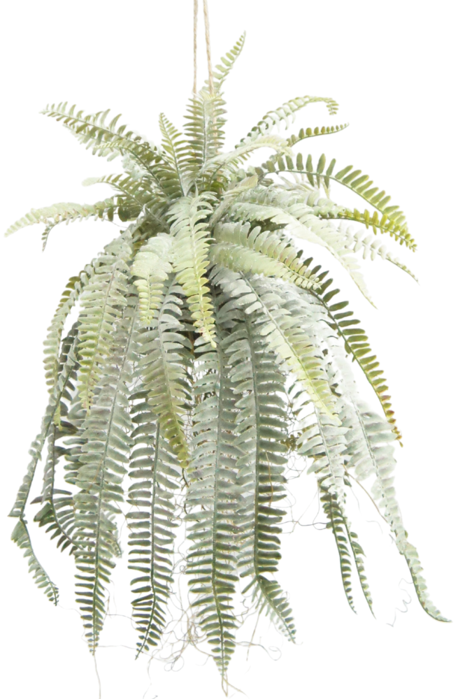 Greenmoods Kunstig hengende plante Frosted Fern på kule 97 cm