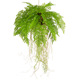 Greenmoods Kunstig Hengende Bregne Rot D35cm Greenmoods Kunstig Hengende Bregne Rot D35cm
