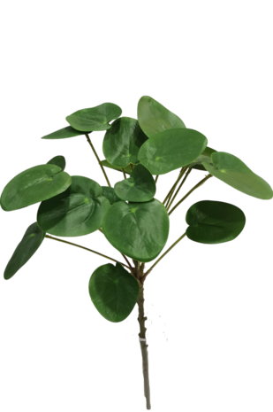 Greenmoods Kunstig Pilea Pengeplante 50 cm