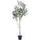 Greenmoods Kunstig Oliventre 180cm