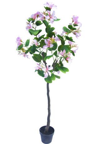 Greenmoods Kunstig plante Judas 150 cm