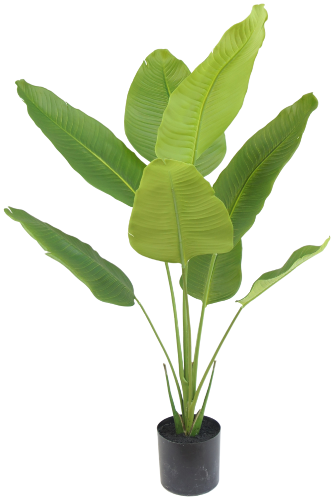 Greenmoods Kunstig Strelitzia Real Touch 120cm