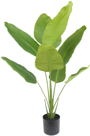 Greenmoods Kunstig Strelitzia Real Touch 120cm
