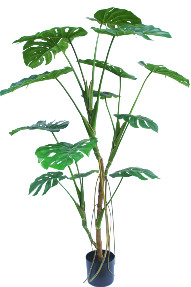 Greenmoods Kunstig plante Monstera 150 cm