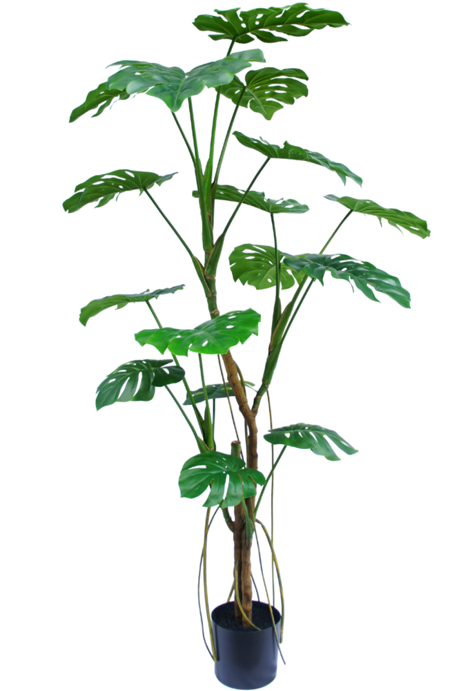 Greenmoods Kunstig plante Monstera 180 cm