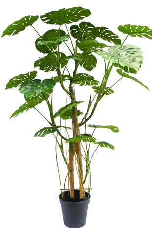 Greenmoods Kunstig plante Monstera 240 cm