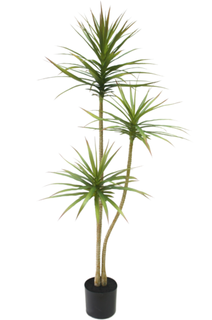 Greenmoods Kunstig plante Dracaena Fragnans 150 cm