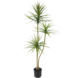 Greenmoods Kunstig plante Dracaena Fragnans 150 cm
