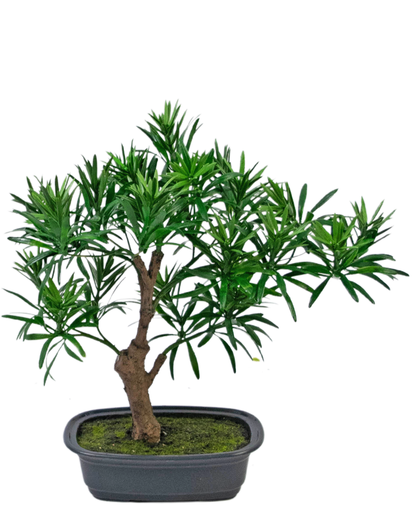 Greenmoods Kunstig Bonsai Podocarpus 30cm