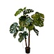 Greenmoods Kunstig Monstera På Stamme 145cm