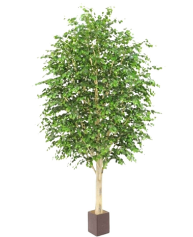 Greenmoods Kunstig Bjørk Gigant 320cm