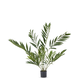 Greenmoods Kunstig Parlour Palme Deluxe 90 cm