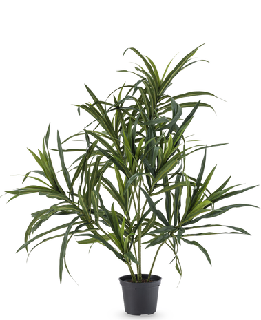 Greenmoods Kunstig Dracaena Reflexa i Potte 63 cm