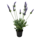 Greenmoods Kunstig Lavendel i Potte 43 cm