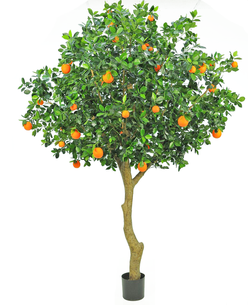 Greenmoods Kunstig Appelsintre 275cm