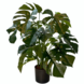 Greenmoods Kunstig Monstera Deluxe 72cm