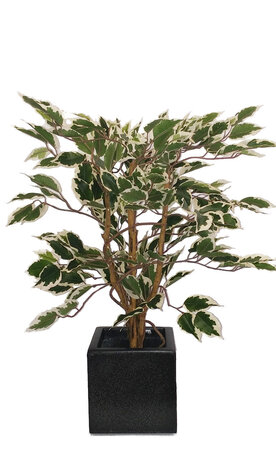 Greenmoods Kunstig Fat Fikus Grønnhvit 90cm