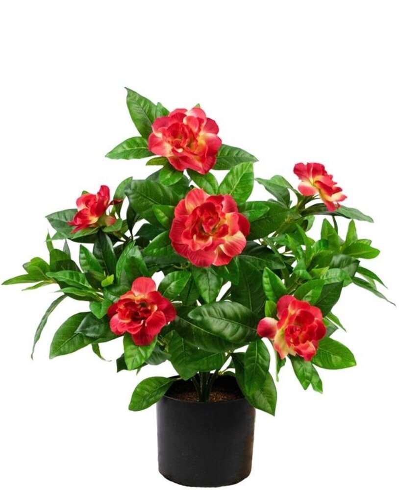 Greenmoods Kunstig Gardenia Fuchsia 39cm