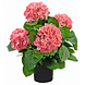 Greenmoods Kunstig Hortensia Rosa 43cm