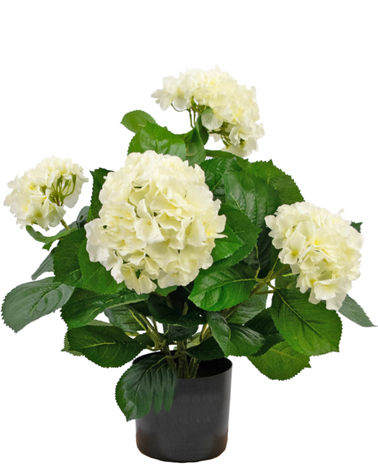 Greenmoods Kunstig plante Hortensia Hvit 43cm