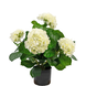 Greenmoods Kunstig plante Hortensia Hvit 43cm
