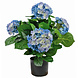 Greenmoods Kunstig Hortensia Blå 43cm