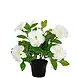 Greenmoods Kunstig Petunia i Potte Hvit 25cm