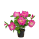 Greenmoods Kunstig Petunia i Potte Mørk Rosa 25cm