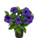 Greenmoods Kunstig Petunia i Potte Lilla 25cm