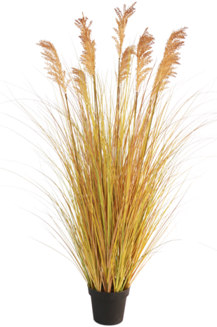 Greenmoods Kunstgressplante Sorghum 150 cm