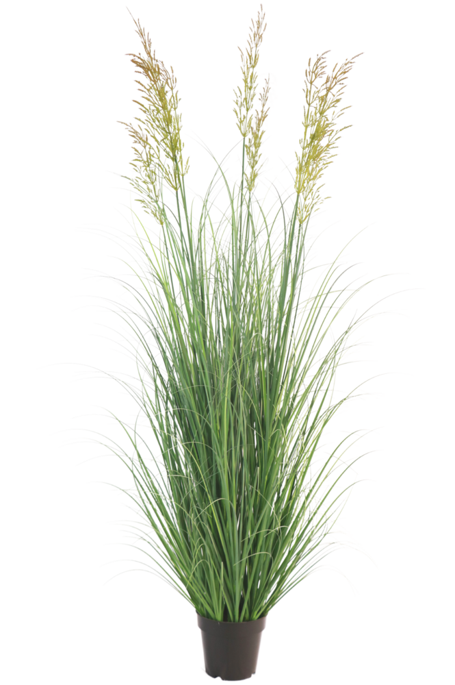 Greenmoods Kunstgressplante hvete 150 cm