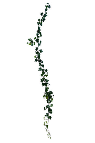 Greenmoods Kunstig Eføy Girlander Deluxe Grønn 180cm