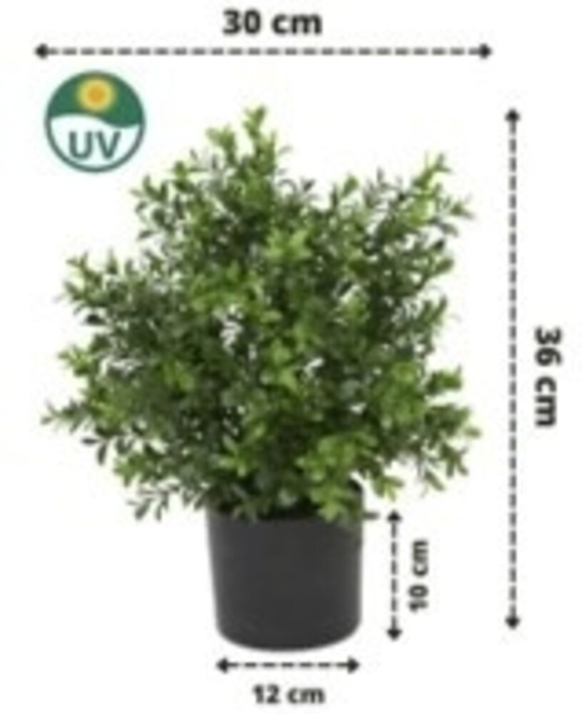 Greenmoods Kunstig Buksbom Busk Romerstil 36cm UV