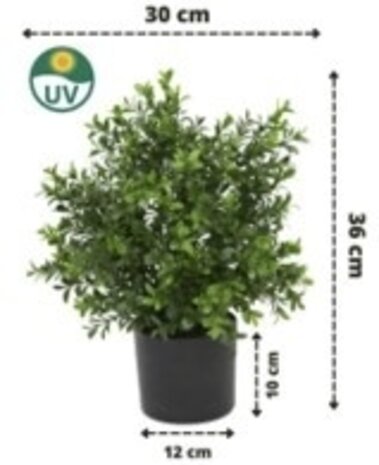 Greenmoods Kunstig Buksbom Busk Romerstil 36cm UV