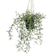 Greenmoods Kunstig hengende Senecio i potte 35cm