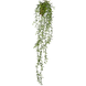 Greenmoods Kunstig hengende Senecio 86cm