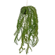 Greenmoods Kunstig hengende Phlegmariurus ball 50cm