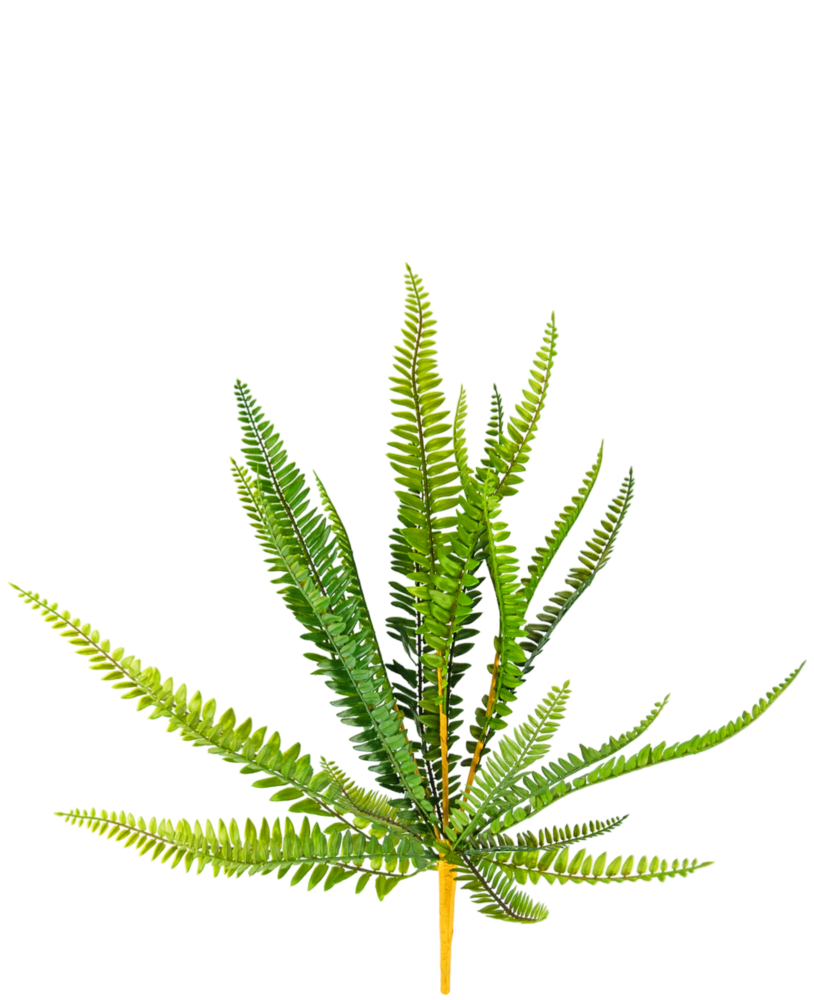 Greenmoods Kunstig plante Bregne 55cm