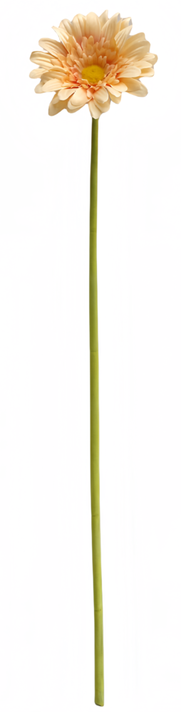 Greenmoods Kunstig Gerbera Real Touch peach 53cm