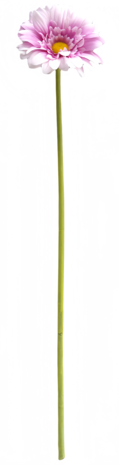 Greenmoods Kunstig Gerbera Real Touch pastell rosa 53cm