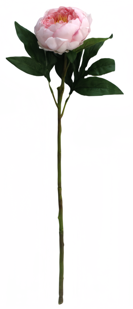 Greenmoods Kunstig Peon Real Touch Rosa 58cm