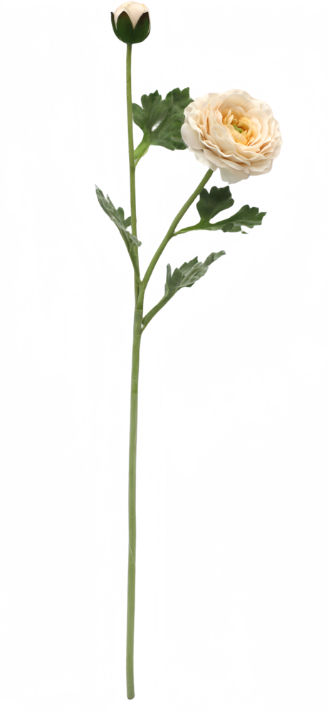 Greenmoods Kunstig Ranunkel Real Touch Krem 60cm